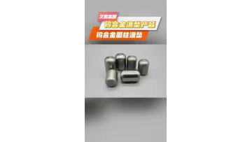 Tungsten alloy ned fishing weight