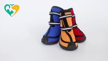 dog shoes hiking