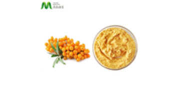 Natural Color Wholesale Bulk Seabuckthorn Berry Juice Powder1