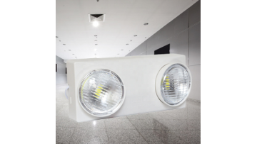 LED emergency light with two heads