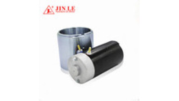 Electric 800 Watt 12 Volt Motor DC1
