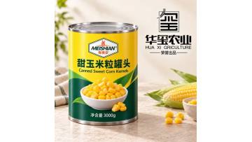 Canned Sweet Corn Kernels 3000g