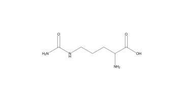 L-citrulline  powder