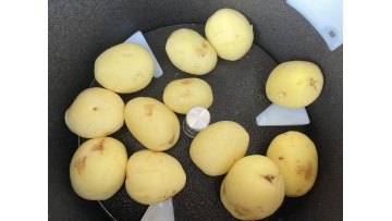 ST-QP15 potato washing and peeling machine