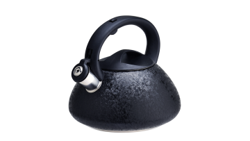 FH-308 Black stainless steel kettle
