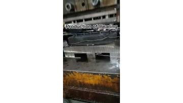 Production of Baering 6.1 
