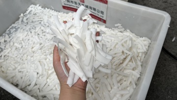 ST-Q303 Coconut meat cutting machine