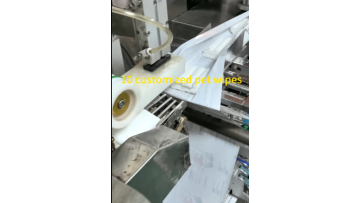 ODM/OEM 10 wet wipes