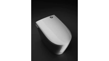 saving space smart toilet
