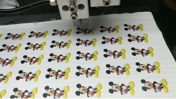 Mickey Mouse Epoxy Coating / Resin