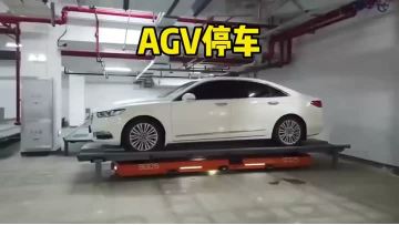 Advanced Autonomous Parking Solution for Enhanced Efficiency