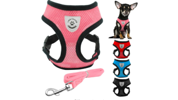 Breathable Mesh Dog Harness