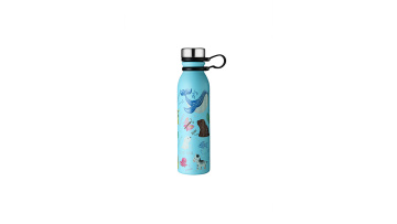 stainless steel fashion sport bottle
