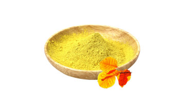 Fisetin powder