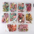 1 Box Real Mix Dried Flower Dry Plants For Art Craft Scrapbooking Resin Pendant Necklace Jewelry Making Craft DIY Accessories