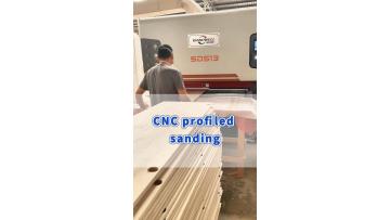 SDS13-Sanding of solid wood door panel white blanks