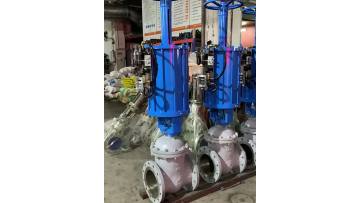 Pneumatic flange gate valve