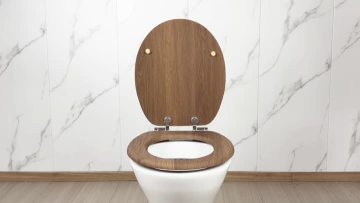 Fanmitrk Toilet Seat SDFM8609-13