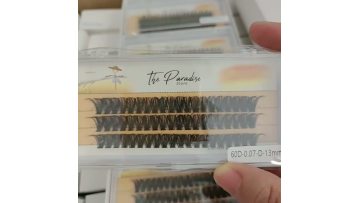 60D cluster lashes