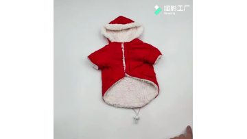 pet clothing market