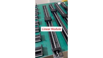 Linear Drive Module