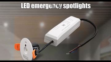 Emergency led downlight
