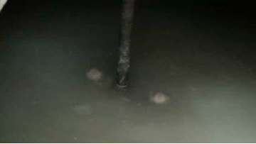pulp tank is stirring02
