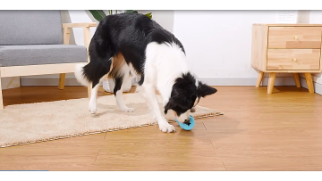 TEETH CLEAN TREAT TOY