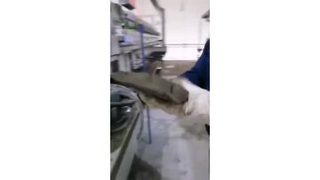 filter cake.mp4