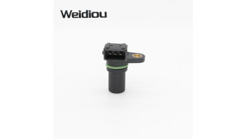 WQ-06009
