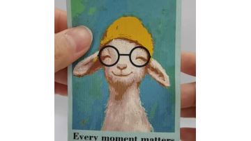 Dye sublimation layer with silicone logo