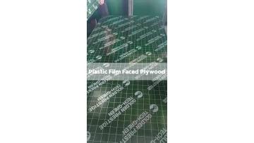 Plastic film faced plywood1