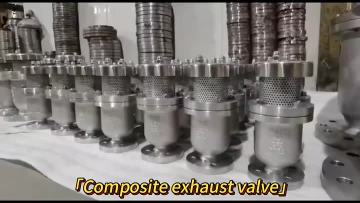 Composite exhaust valve
