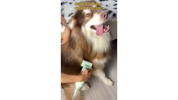 Pet handheld vacuum cleaner