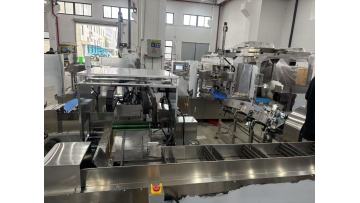 Dual‑Servo Integrated Pouch Machine + Cartoning Machine | Complete Sauce Packaging Whole Line