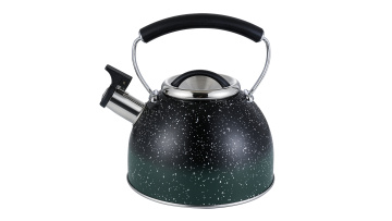 Stainless steel wire handle whistle kettle FH-662BG