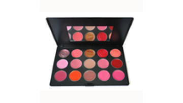Professional Lip color Lipstick palette1