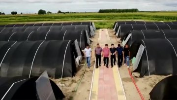 China manufacturer Light Deprivation Blackout Single span Greenhouse for Mushroom Grow Room1