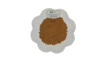 Wholesale Natural Herbal Extract Anxiety And Stress Relief Supplement 10% Withanolides Ashwagandha1