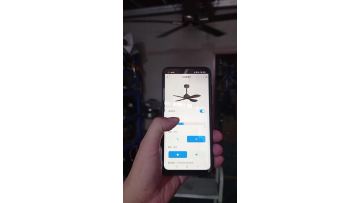 product test
