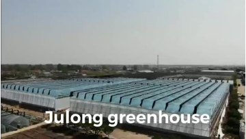Low cost agriculture productive customized tropical plastic film multi span green house for hydroponics vegetable1