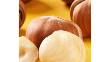 Delicious Hazelnut Kernel Products