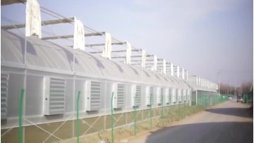 Turnkey Project Commercial Greenhouse Tunnel Green House for Agriculture Vegetables Cucumber Strawberry Tomato Farming1