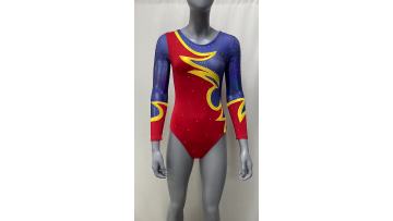 long sleeve gymnastic leotards