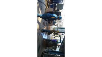 High pressure cleaning hose2