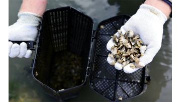 Black plastic hexagon oyster culture basket