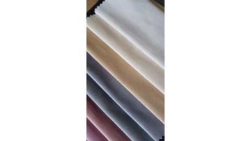 Holland Velvet Fabric