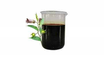 Pure Atropa Belladonna Fluid Extract - Natural Herbal Formula