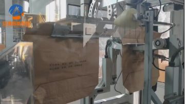 Valve pocket packing machine
