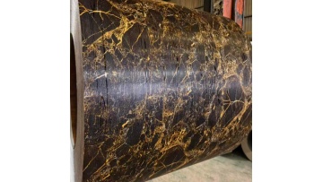 Black and gold marble-patterned color-coated coil~1